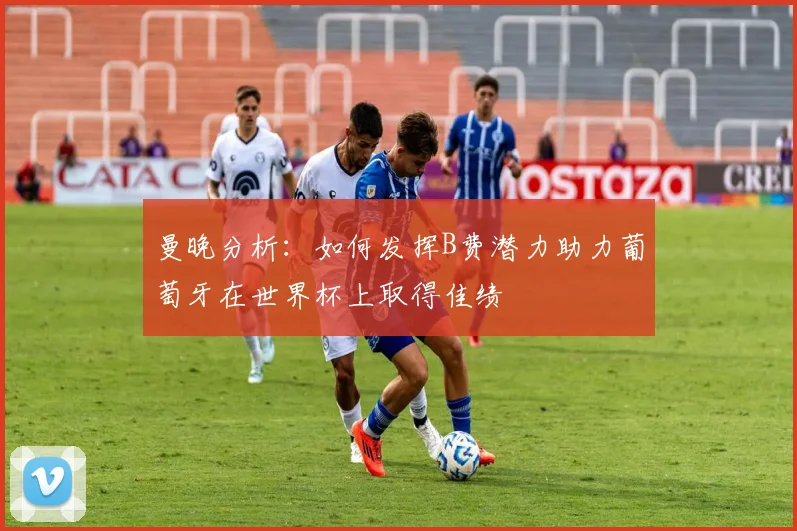 曼晚分析：如何发挥B费潜力助力葡萄牙在世界杯上取得佳绩